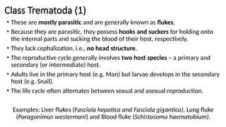 Class Trematoda (1)
• These are mostly parasitic and are generally known as flukes.
• Because they are parasitic, they possess hooks and suckers for holding onto
the internal parts and sucking the blood of their host, respectively.
• They lack cephalization, i.e., no head structure.
• The reproductive cycle generally involves two host species – a primary and
secondary (or intermediate) host.
• Adults live in the primary host (e.g. Man) but larvae develops in the secondary
host (e.g. Snail).
• The life cycle often alternates between sexual and asexual reproduction.
Examples: Liver flukes (Fasciola hepatica and Fasciola gigantica), Lung fluke
(Paragonimus westermani) and Blood fluke (Schistosoma haematobium).
 