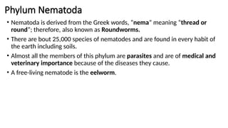 Phylum Nematoda
• Nematoda is derived from the Greek words, “nema” meaning “thread or
round”; therefore, also known as Roundworms.
• There are bout 25,000 species of nematodes and are found in every habit of
the earth including soils.
• Almost all the members of this phylum are parasites and are of medical and
veterinary importance because of the diseases they cause.
• A free-living nematode is the eelworm.
 