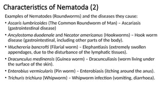 Characteristics of Nematoda (2)
Examples of Nematodes (Roundworms) and the diseases they cause:
• Ascaris lumbricoides (The Common Roundworm of Man) – Ascariasis
(gastrointestinal disease)
• Ancylostoma duodenale and Necator americanus (Hookworms) – Hook worm
disease (gastrointestinal, including other parts of the body).
• Wuchereria bancrofti (Filarial worm) – Elephantiasis (extremely swollen
appendages, due to the disturbance of the lymphatic tissues).
• Dracunculus medinensis (Guinea worm) – Dracunculiasis (worm living under
the surface of the skin).
• Enterobius vermicularis (Pin worm) – Enterobiasis (itching around the anus).
• Trichuris trichiura (Whipworm) – Whipworm infection (vomiting, diarrhoea).
 