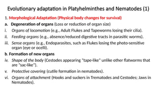 Evolutionary adaptation in Platyhelminthes and Nematodes (1)
1. Morphological Adaptation (Physical body changes for survival)
a. Degeneration of organs (Loss or reduction of organ size)
i. Organs of locomotion (e.g., Adult Flukes and Tapeworms losing their cilia).
ii. Feeding organs (e.g., absence/reduced digestive tracts in parasitic worms).
iii. Sense organs (e.g., Endoparasites, such as Flukes losing the photo-sensitive
organ (eye or ocelli).
b. Formation of new organs
iv. Shape of the body (Cestodes appearing “tape-like” unlike other flatworms that
are “sac-like”).
v. Protective covering (cutile formation in nematodes).
vi. Organs of attachment (Hooks and suckers in Trematodes and Cestodes; Jaws in
Nematodes).
 