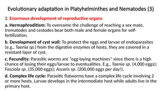 Evolutionary adaptation in Platyhelminthes and Nematodes (3)
3. Enormous development of reproductive organs
a. Hermaphroditism: To overcome the challenge of reaching a sex mate,
trematodes and cestodes bear both male and female organs for self-
fertilization.
b. Development of cyst wall: To protect the eggs and larvae of endoparasites
(e.g., Taenia sp.) from the digestive enzymes of hosts, they are covered in a
resistant layer of cyst.
c. Fecundity: Parasitic worms are “egg-laying machines” since there is a high
chance of losing their eggs/larvae to eventualities. E.g., Taenia sp. (4,000 eggs);
Fasciola sp. (35,000 eggs); Ascaris sp. (200,000 eggs per day!).
d. Complex life cycle: Parasitic flatworms have a complex life cycle involving 2
or more hosts. Larvae develops in the intermediate host while adults live in the
primary host.
 