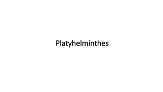Platyhelminthes
 