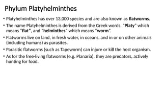 Phylum Platyhelminthes
• Platyhelminthes has over 13,000 species and are also known as flatworms.
• The name Platyhelminthes is derived from the Greek words, “Platy” which
means “flat”, and “helminthes” which means “worm”.
• Flatworms live on land, in fresh water, in oceans, and in or on other animals
(including humans) as parasites.
• Parasitic flatworms (such as Tapeworm) can injure or kill the host organism.
• As for the free-living flatworms (e.g. Planaria), they are predators, actively
hunting for food.
 