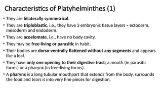 Characteristics of Platyhelminthes (1)
• They are bilaterally symmetrical.
• They are triploblastic, i.e., they have 3 embryonic tissue layers – ectoderm,
mesoderm and endoderm.
• They are acoelomate, i.e., have no body cavity.
• They may be free-living or parasitic in habit.
• Their bodies are dorso-ventrally flattened without any segments and appears
like a leaf.
• They have only one opening to their digestive tract; a mouth (in parasitic
forms) or a pharynx (in free-living forms).
• A pharynx is a long tubular mouthpart that extends from the body, surrounds
the food and tears it into very fine pieces for digestion.
 
