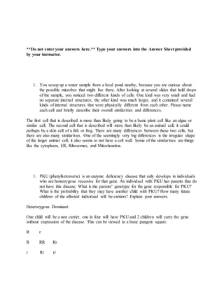 **Do not enter your answers here.** Type your answers into the Answer Sheet provided
by your instructor.
1. You scoop up a water sample from a local pond nearby, because you are curious about
the possible microbes that might live there. After looking at several slides that held drops
of the sample, you noticed two different kinds of cells: One kind was very small and had
no separate internal structures; the other kind was much larger, and it contained several
kinds of internal structures that were physically different from each other. Please name
each cell and briefly describe their overall similarities and differences.
The first cell that is described is more than likely going to be a basic plant cell like an algae or
similar cell. The second cell that is described will more than likely be an animal cell, it could
perhaps be a skin cell of a fish or frog. There are many differences between these two cells, but
there are also many similarities. One of the seemingly very big differences is the irregular shape
of the larger animal cell; it also seems to not have a cell wall. Some of the similarities are things
like the cytoplasm, ER, Ribosomes, and Mitochondria.
1. PKU (phenylketonuria) is an enzyme deficiency disease that only develops in individuals
who are homozygous recessive for that gene. An individual with PKU has parents that do
not have this disease. What is the parents’ genotype for the gene responsible for PKU?
What is the probability that they may have another child with PKU? How many future
children of the affected individual will be carriers? Explain your answers.
Heterozygous Dominant
One child will be a non carrier, one in four will have PKU and 2 children will carry the gene
without expression of the disease. This can be viewed in a basic pungent square.
R r
R RR Rr
r Rr rr
 
