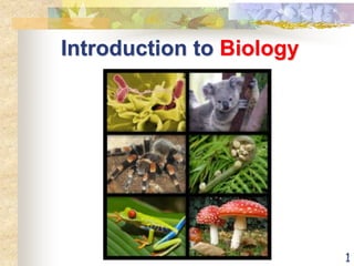 1
Introduction to Biology
 