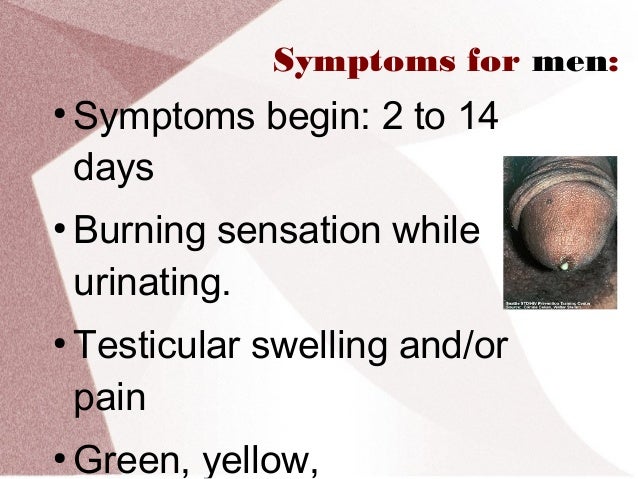 gonorrhea symptoms pictures men gonorrhea symptoms pictures men