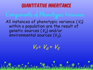 Quantitative Inheritance
Components of Phenotypic Variance
All instances of phenotypic variance (VP)
within a population are the result of
genetic sources (VG) and/or
environmental sources (VE).
VP = VG + VE
19ccex2015
 