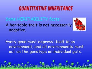 Some HERITABILITY facts:
A heritable trait is not necessarily
adaptive.
Every gene must express itself in an
environment, and all environments must
act on the genotype an individual gets.
Quantitative Inheritance
27ccex2015
 