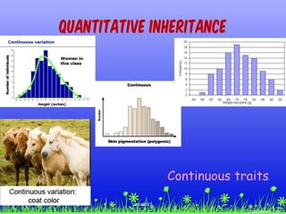 Continuous traits
Quantitative Inheritance
4ccex2015
 