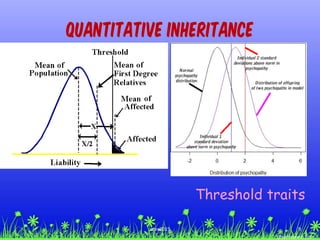 Threshold traits
Quantitative Inheritance
9ccex2015
 