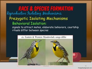 Race & Species Formation
Reproductive Isolating Mechanisms
Prezygotic Isolating Mechanisms
Behavioral Isolation:
signals to attract mates, elaborate behaviors, courtship
rituals differ between species
46cces2015
 