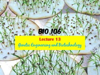BIO 106
Lecture 13
Genetic Engineering and Biotechnology
 