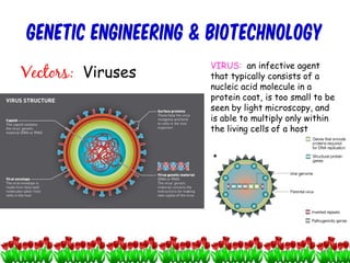 GENETIC ENGINEERING & BIOTECHNOLOGY
Vectors: Viruses
VIRUS: an infective agent
that typically consists of a
nucleic acid molecule in a
protein coat, is too small to be
seen by light microscopy, and
is able to multiply only within
the living cells of a host
11cces2015
 