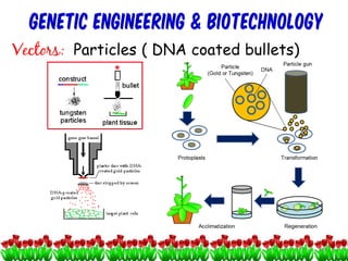 GENETIC ENGINEERING & BIOTECHNOLOGY
Vectors: Particles ( DNA coated bullets)
12cces2015
 