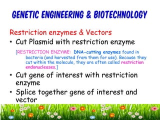 GENETIC ENGINEERING & BIOTECHNOLOGY
Restriction enzymes & Vectors
• Cut Plasmid with restriction enzyme
[RESTRICTION ENZYME: DNA-cutting enzymes found in
bacteria (and harvested from them for use). Because they
cut within the molecule, they are often called restriction
endonucleases.]
• Cut gene of interest with restriction
enzyme
• Splice together gene of interest and
vector
15cces2015
 