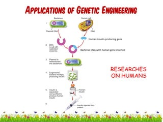 Applications of Genetic Engineering
RESEARCHES
ON HUMANS
Human insulin-producing gene
Bacterial DNA with human gene inserted
17cces2015
 