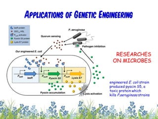 Applications of Genetic Engineering
RESEARCHES
ON MICROBES
engineered E. coli strain
produced pyocin S5, a
toxic protein which
kills P.aeruginosa strains
29cces2015
 