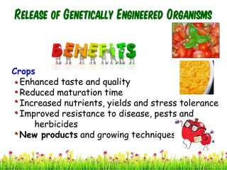 Release of Genetically Engineered Organisms
Crops
Enhanced taste and quality
Reduced maturation time
Increased nutrients, yields and stress tolerance
Improved resistance to disease, pests and
herbicides
New products and growing techniques
32cces2015
 