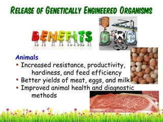 Release of Genetically Engineered Organisms
Animals
Increased resistance, productivity,
hardiness, and feed efficiency
Better yields of meat, eggs, and milk
Improved animal health and diagnostic
methods
34cces2015
 