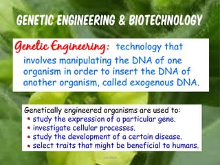 GENETIC ENGINEERING & BIOTECHNOLOGY
Genetic Engineering: technology that
involves manipulating the DNA of one
organism in order to insert the DNA of
another organism, called exogenous DNA.
Genetically engineered organisms are used to:
study the expression of a particular gene.
investigate cellular processes.
study the development of a certain disease.
select traits that might be beneficial to humans.
4cces2015
 