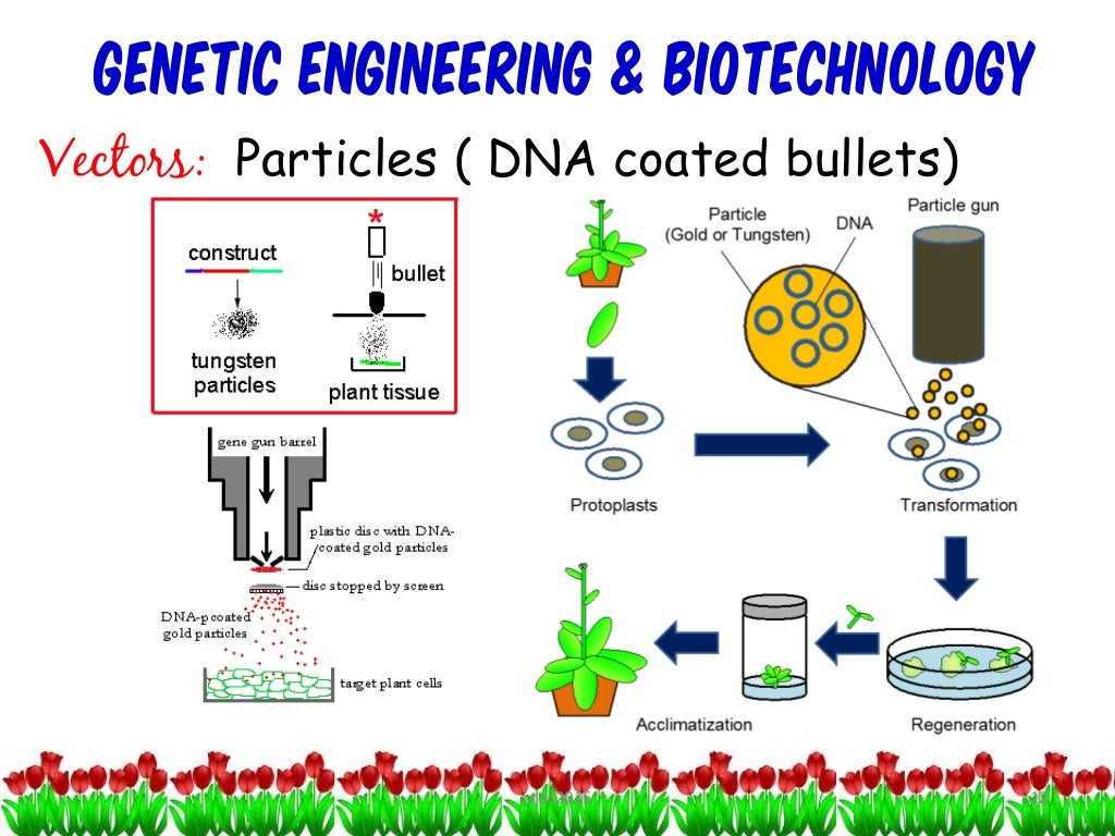 Engineering and Biotechnology