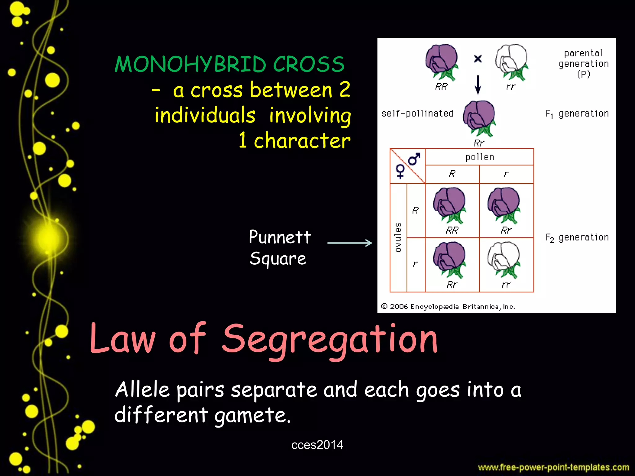 General Genetics: Gene Segregation and Integration (Part 1) | PDF