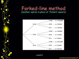 General Genetics: Gene Segregation and Integration (Part 1) | PDF