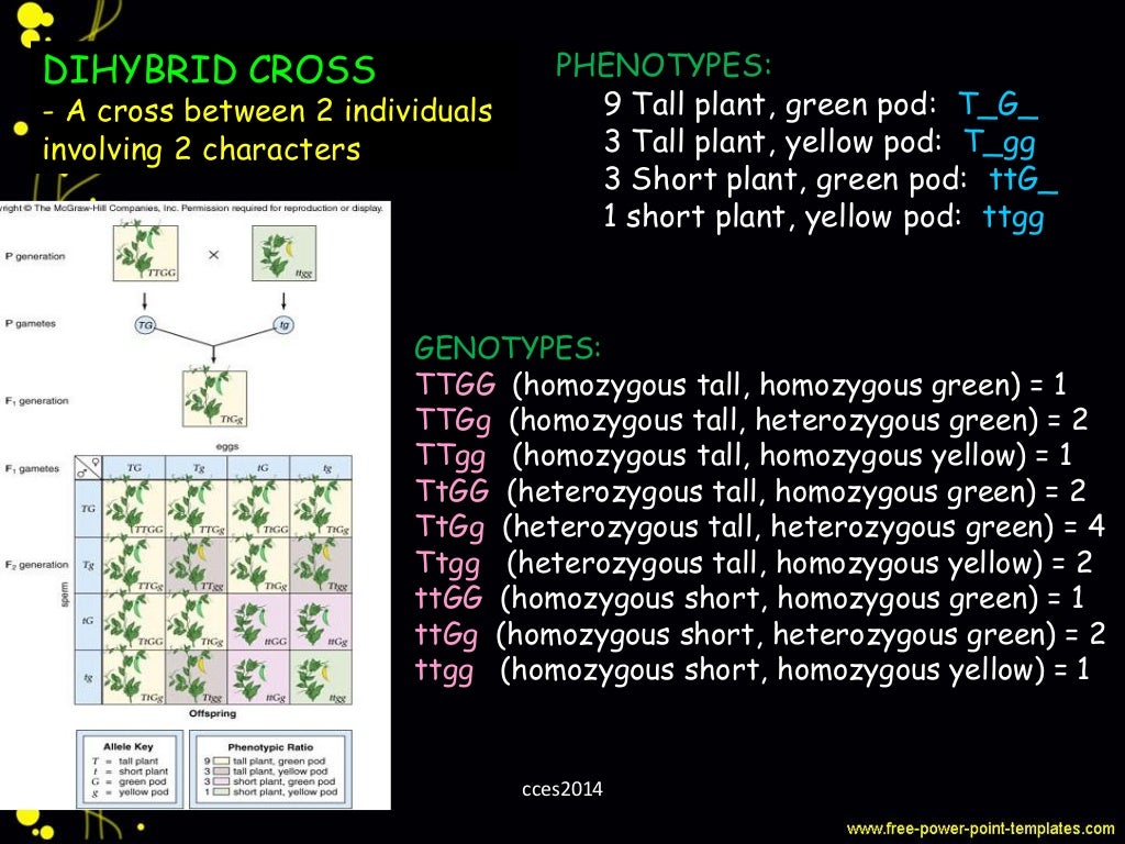 General genetics gene segregation and integration part 1 