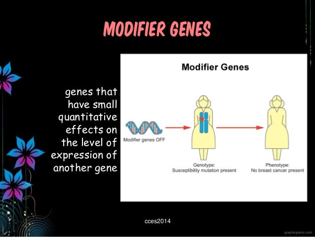 General Genetics: Gene Segregation and Integration (Part 2)