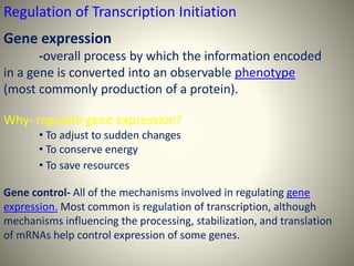 Regulation of Transcription Initiation
Gene expression
-overall process by which the information encoded
in a gene is converted into an observable phenotype
(most commonly production of a protein).
Why- regulate gene expression?
• To adjust to sudden changes
• To conserve energy
• To save resources
Gene control- All of the mechanisms involved in regulating gene
expression. Most common is regulation of transcription, although
mechanisms influencing the processing, stabilization, and translation
of mRNAs help control expression of some genes.
 