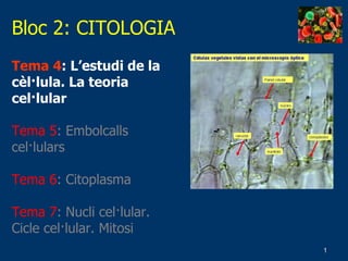 Bloc 2: CITOLOGIA Tema 4 : L’estudi de la cèl·lula. La teoria cel·lular Tema 5 : Embolcalls cel·lulars  Tema 6 : Citoplasma Tema 7 : Nucli cel·lular. Cicle cel·lular. Mitosi 