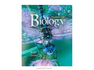 Copyright Pearson Prentice Hall 
Biology 
 