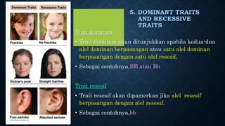 Trait dominan
• Trait dominan akan ditunjukkan apabila kedua-dua
alel dominan berpasangan atau satu alel dominan
berpasangan dengan satu alel resesif.
• Sebagai contohnya,BB atau Bb
Trait resesif
• Trait resesif akan dipamerkan jika alel resesif
berpasangan dengan alel resesif.
• Sebagai contohnya,bb
5. DOMINANT TRAITS
AND RECESSIVE
TRAITS
 