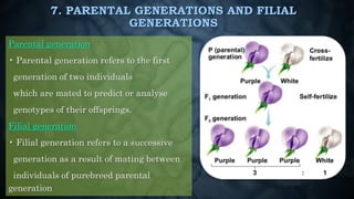 7. PARENTAL GENERATIONS AND FILIAL
GENERATIONS
Parental generation
• Parental generation refers to the first
generation of two individuals
which are mated to predict or analyse
genotypes of their offsprings.
Filial generation
• Filial generation refers to a successive
generation as a result of mating between
individuals of purebreed parental
generation
 