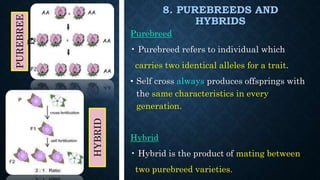 8. PUREBREEDS AND
HYBRIDS
Purebreed
• Purebreed refers to individual which
carries two identical alleles for a trait.
• Self cross always produces offsprings with
the same characteristics in every
generation.
Hybrid
• Hybrid is the product of mating between
two purebreed varieties.
PUREBREE
D
HYBRID
 