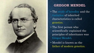 GREGOR MENDEL
• The study of heredity and the
variation of inherited
characteristics is called
genetics.
• The first person who
scientifically explained the
principles of inheritance was
Gregor Mendel.
• Mendel is known as the
father of modern genetics.
 