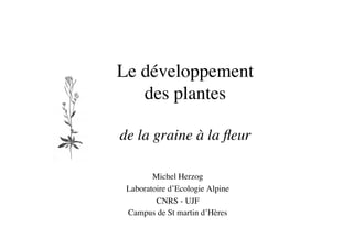 Le développement 
des plantes
de la graine à la ﬂeur	

Michel Herzog	

Laboratoire d’Ecologie Alpine	

CNRS - UJF	

Campus de St martin d’Hères	

 