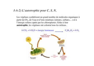 I-A-2) L’autotrophie pour C, S, N, 	

	

Les végétaux synthétisent un grand nombre de molécules organiques à
partir du C02, de l’eau et d’ions minéraux (nitrates, sulfates,…) et à
l’énergie solaire captée par les chloroplastes. Grâce à leur
autotrophie, les végétaux ont colonisé tous les milieux.	

6 CO2 + 6 H2O + énergie lumineuse C6H12O6 + 6 O2	

 