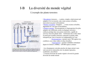I-B La diversité du monde végétal	

L’exemple des plante terrestres	

• Bryophytes (mousses, …), petites, simples, relativement mal
adaptées à la vie terrestre, sans vraies racines ni feuilles,
nécessitent eau pour la fécondation	

• Plantes vasculaires (fougères, …) vraies racines et feuilles,
dépendant de l’eau pour la fécondation	

• Plantes à graines (Gymnospermes et Angiospermes) les plus
adaptées aux différentes niches écologiques terrestres -
embryon protégé dans une graine nourricière, capable de
survivre, loin de la plante mère - fertilisation des ovules (dans
le pistil) par le pollen (structure contenant le gamète mâle,
transporté par vent et insectes) est indépendante de l’eau.	

	

- Gymnospermes : (graines nues) 700 espèces (ex:
conifères), avec cônes mâles et cônes femelles)	

	

 - Angiospermes : (graines emballées) abondants
depuis le Crétacé (-100Ma) - 250 000 espèces connues	

- Les champignons sont plus proches du règne animal, mais
sont souvent en interaction avec les plantes (parasites,
symbiontes, mycorhize)	

- L’énorme diversité du monde végétal a favorisé la grande
diversité du monde animal	

 