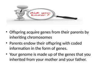Comprehensive Overview of Meiosis, Genetic Variation, and Mendelian ...