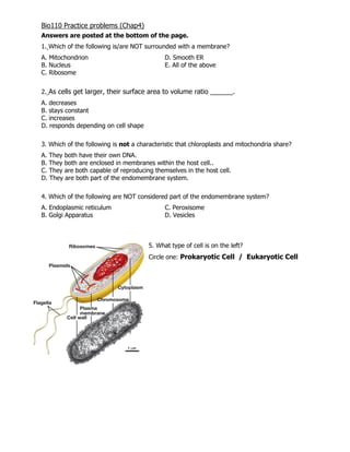 Bio110 Practice problems (Chap4)
Answers are posted at the bottom of the page.
1. Which of the following is/are NOT surrounded with a membrane?
A. Mitochondrion D. Smooth ER
B. Nucleus E. All of the above
C. Ribosome
2. As cells get larger, their surface area to volume ratio ______.
A. decreases
B. stays constant
C. increases
D. responds depending on cell shape
3. Which of the following is not a characteristic that chloroplasts and mitochondria share?
A. They both have their own DNA.
B. They both are enclosed in membranes within the host cell..
C. They are both capable of reproducing themselves in the host cell.
D. They are both part of the endomembrane system.
4. Which of the following are NOT considered part of the endomembrane system?
A. Endoplasmic reticulum C. Peroxisome
B. Golgi Apparatus D. Vesicles
5. What type of cell is on the left?
Circle one: Prokaryotic Cell / Eukaryotic Cell
 
