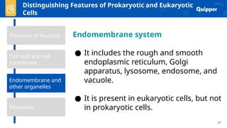 Comprehensive Overview of Prokaryotic and Eukaryotic Cells in Biology ...