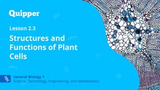 general biology 2 for grade 12 science and technology engineering and ...