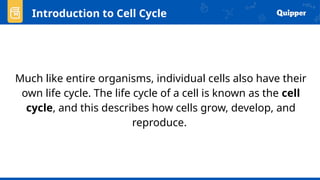 Much like entire organisms, individual cells also have their
own life cycle. The life cycle of a cell is known as the cell
cycle, and this describes how cells grow, develop, and
reproduce.
Introduction to Cell Cycle
 