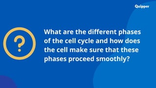 What are the different phases
of the cell cycle and how does
the cell make sure that these
phases proceed smoothly?
 