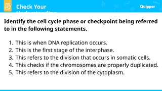 Check Your
Understanding
Identify the cell cycle phase or checkpoint being referred
to in the following statements.
1. This is when DNA replication occurs.
2. This is the first stage of the interphase.
3. This refers to the division that occurs in somatic cells.
4. This checks if the chromosomes are properly duplicated.
5. This refers to the division of the cytoplasm.
 