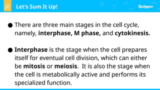 Let’s Sum It Up!
● There are three main stages in the cell cycle,
namely, interphase, M phase, and cytokinesis.
● Interphase is the stage when the cell prepares
itself for eventual cell division, which can either
be mitosis or meiosis. It is also the stage when
the cell is metabolically active and performs its
specialized function.
 