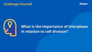 Challenge Yourself
What is the importance of interphase
in relation to cell division?
 