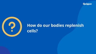 How do our bodies replenish
cells?
 